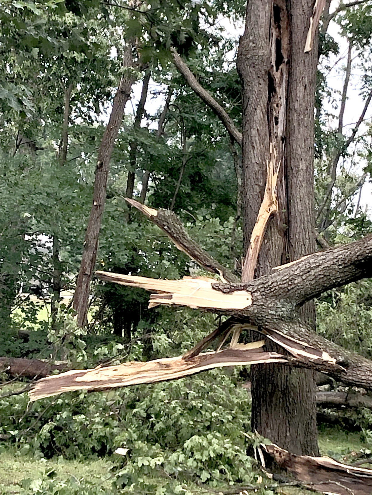 Zion Road storm damage